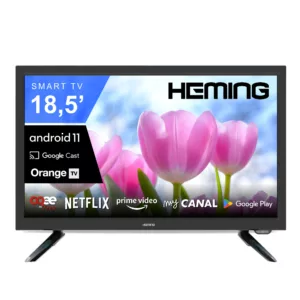 Heming 22″ Full HD TV 12V camping-car vue face